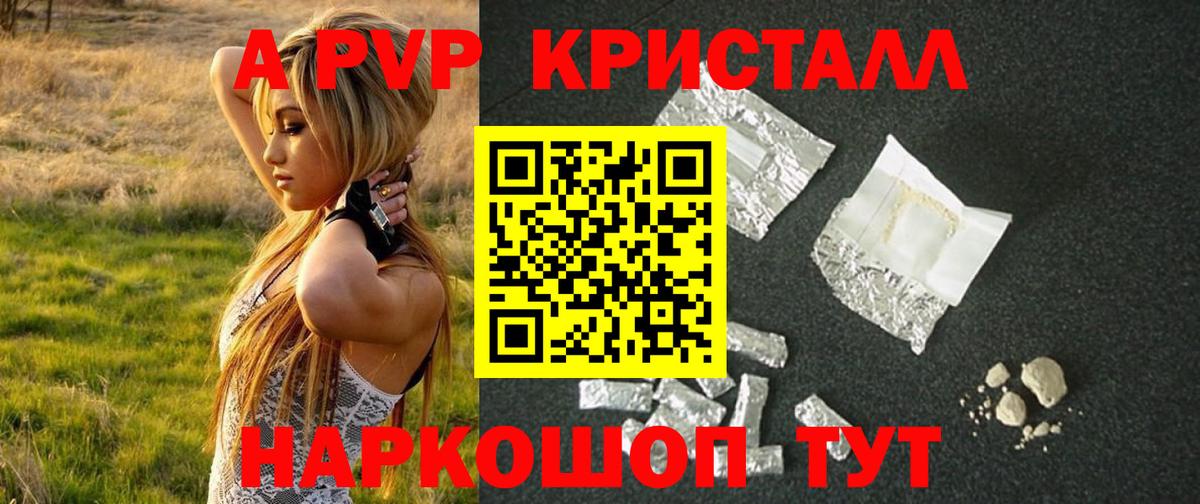 A PVP СК КРИС Шали