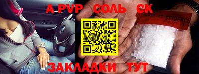 a pvp Камышлов
