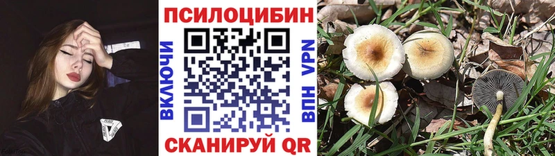 MEGA   Шали  Псилоцибиновые грибы ЛСД  как найти закладки 
