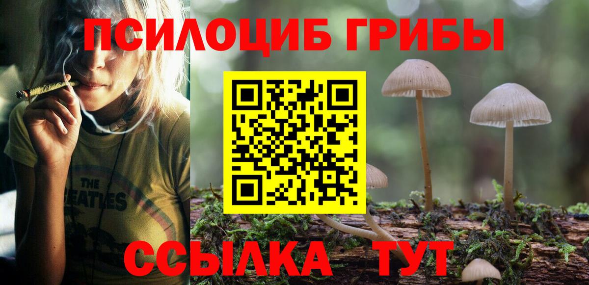 Галлюциногенные грибы прущие грибы Шали