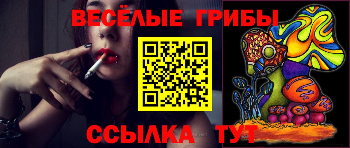 Галлюциногенные грибы MAGIC MUSHROOMS  Шали 