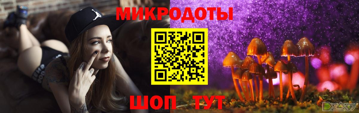Шали  Галлюциногенные грибы прущие грибы  Вход с VPN  Галлюциногенные грибы ЛСД 