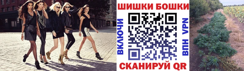 Бошки Шишки OG Kush даркнет наркотические препараты Шали