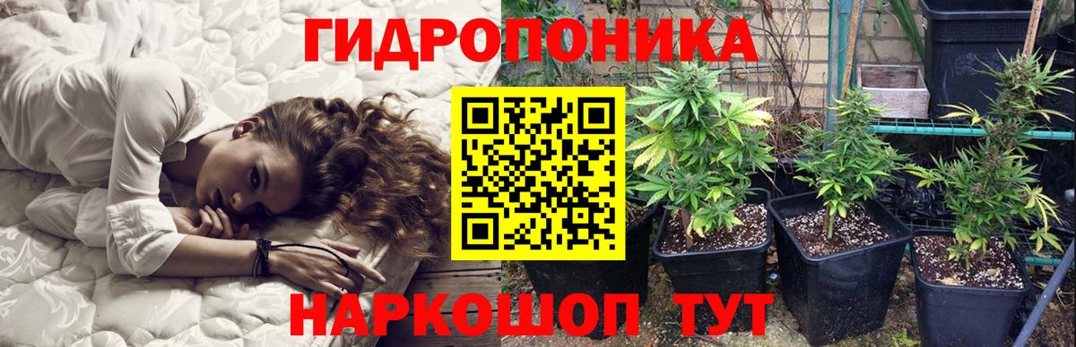 Конопля LSD WEED Шали